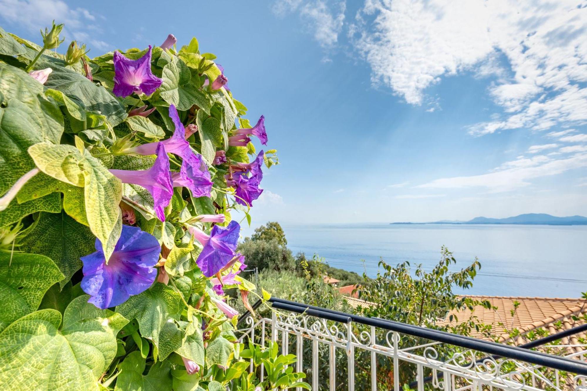 Villa Nafsika Nisaki  ภายนอก รูปภาพ
